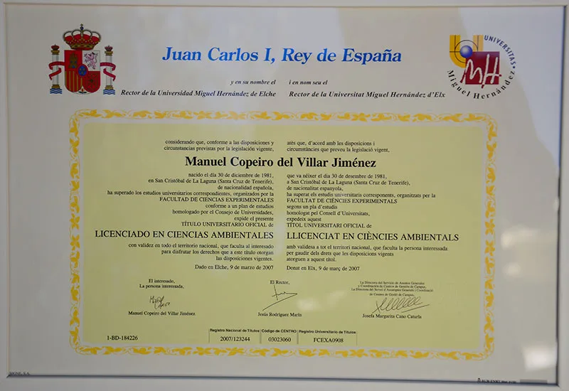 Certificado: licenciatura