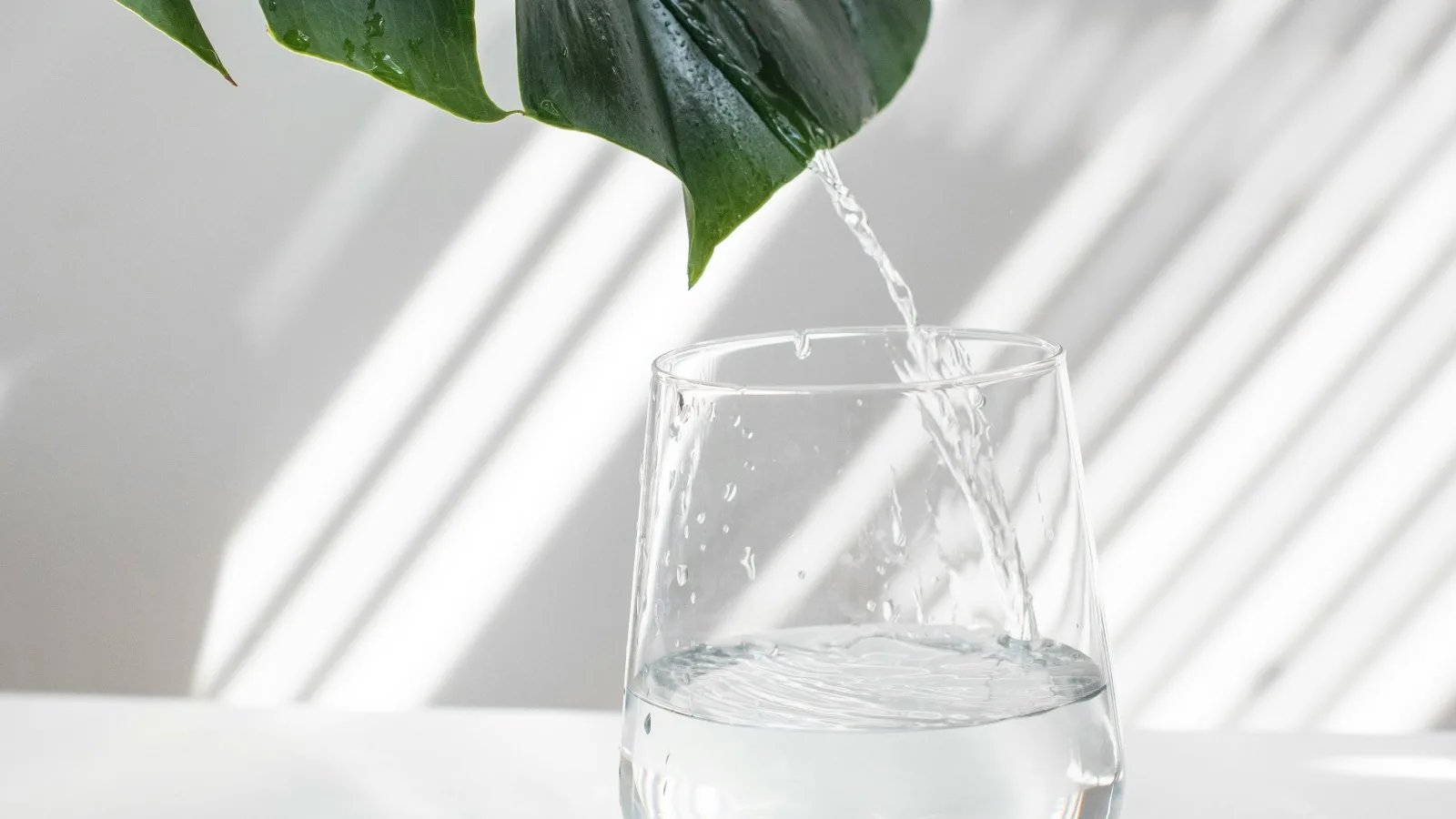 Jarra Hidrolux: Agua alcalina, ionizada, hidrogenada y purificada directamente en tu hogar